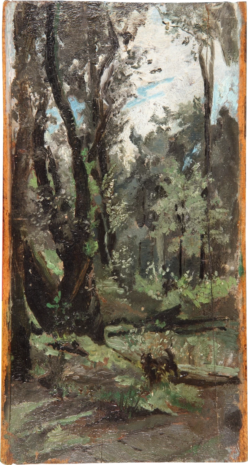 Bosco - Palazzo Sylos Calò, Bitonto (BA)
